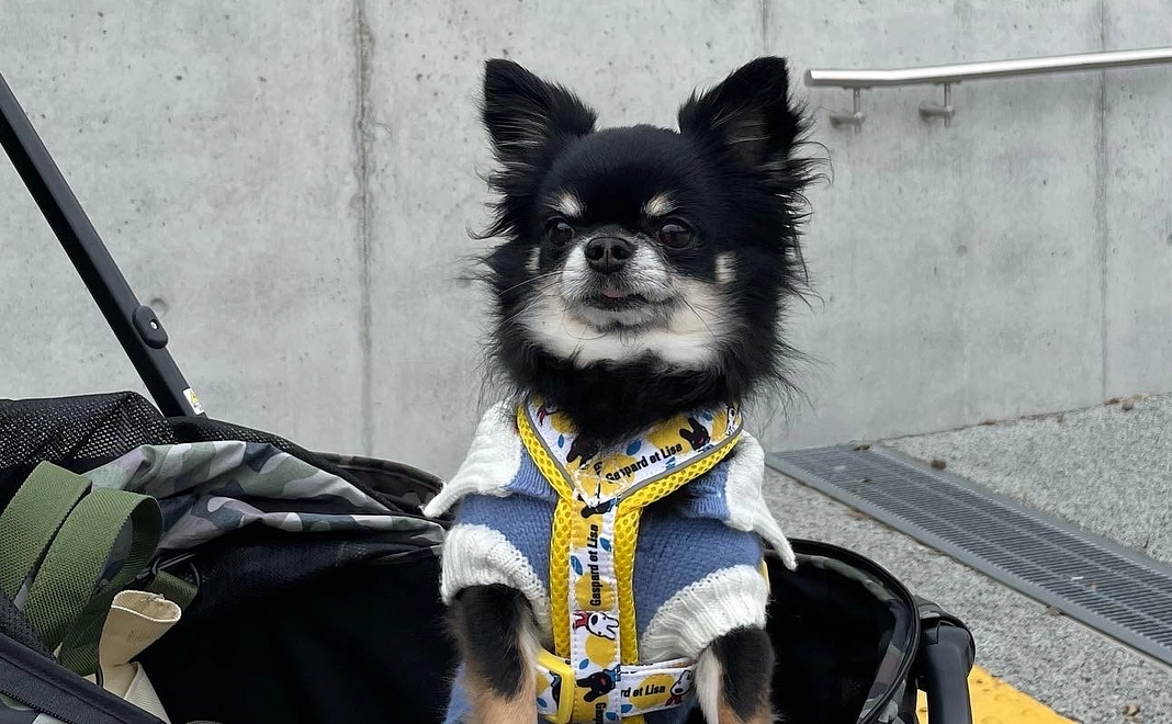 感謝のメールと活動報告 ¥2000