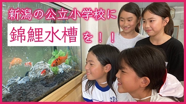 錦鯉 × 学び舎 = 未来の地域文化をつくるプロジェクト！ のトップ画像