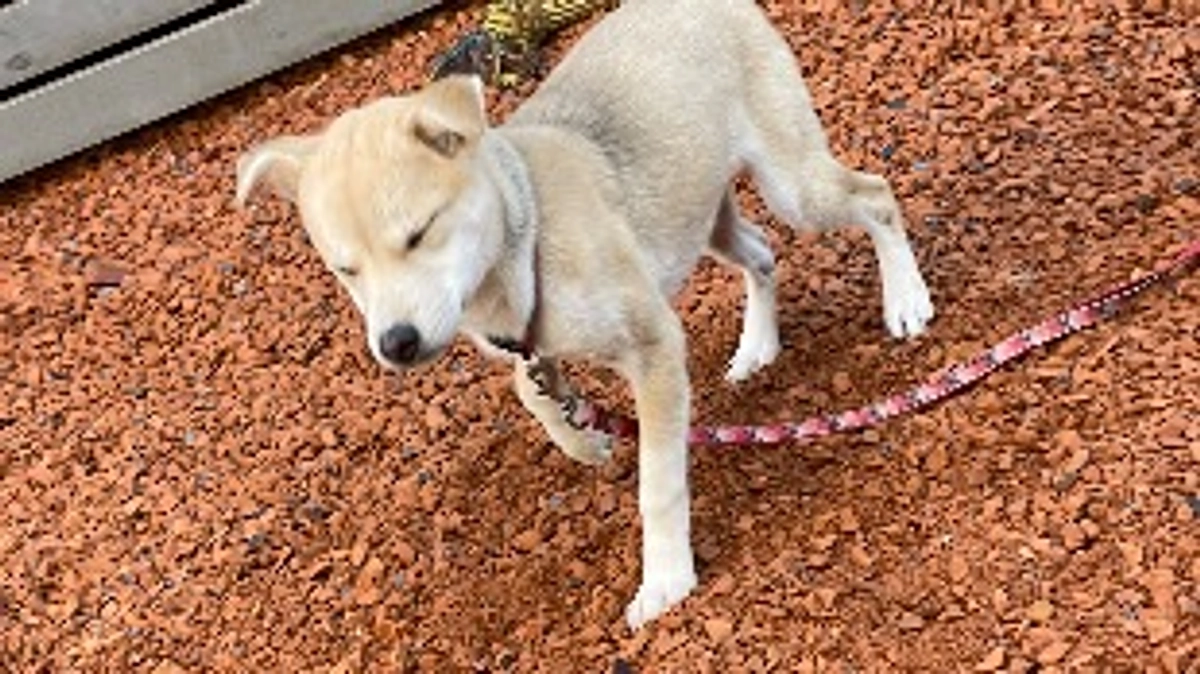 応援とメッセージ