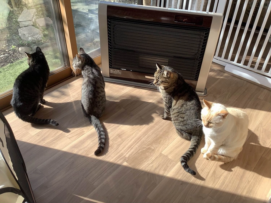 いのちへの深い愛情と 温かい責任のこと