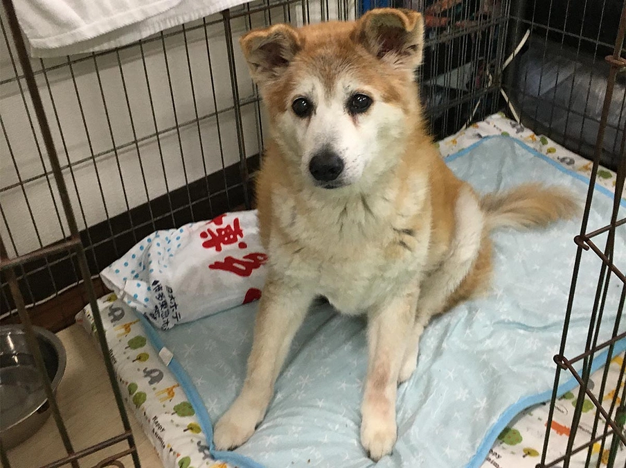 太陽に異変が！ご飯を食べなくなっています