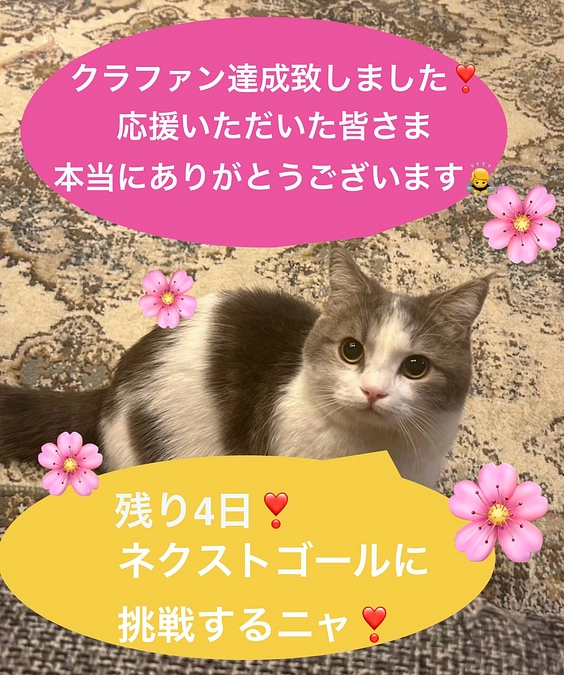 プロジェクト達成報告❣️／ネクスト挑戦