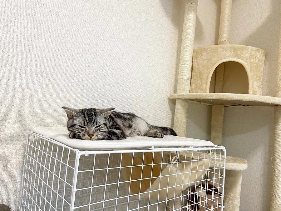 2023.5.9⭐️ #闘病生活 21日目⭐️べん