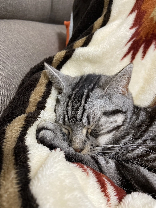 2023.5.10⭐️ #闘病生活 23日目⭐️