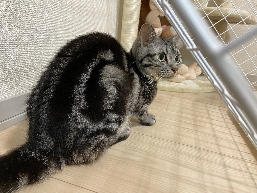 2023.5.10⭐️ #闘病生活22日目⭐️