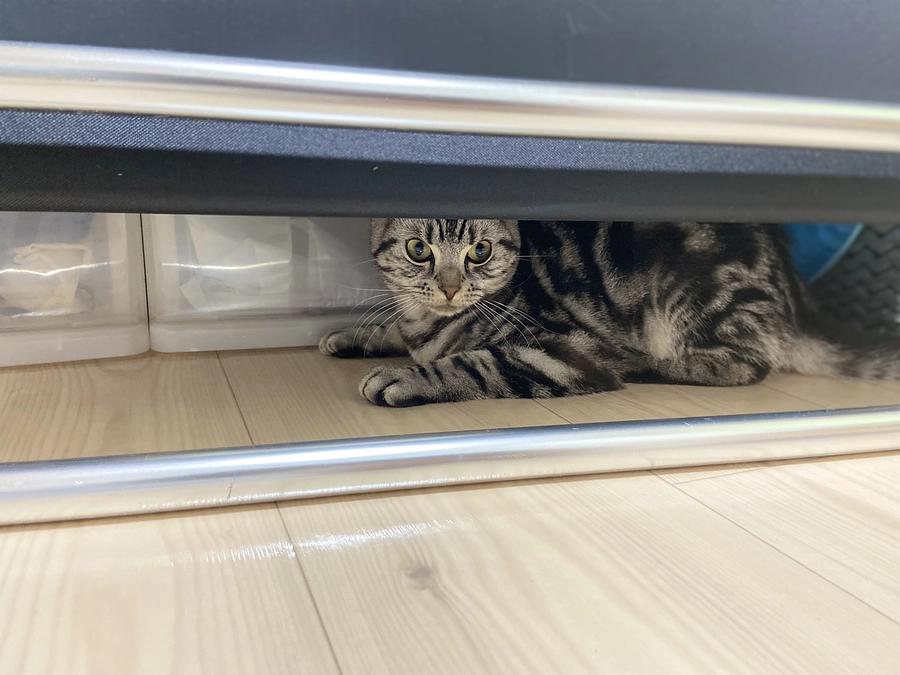 2023.5.13⭐️ #闘病生活 25日目⭐️