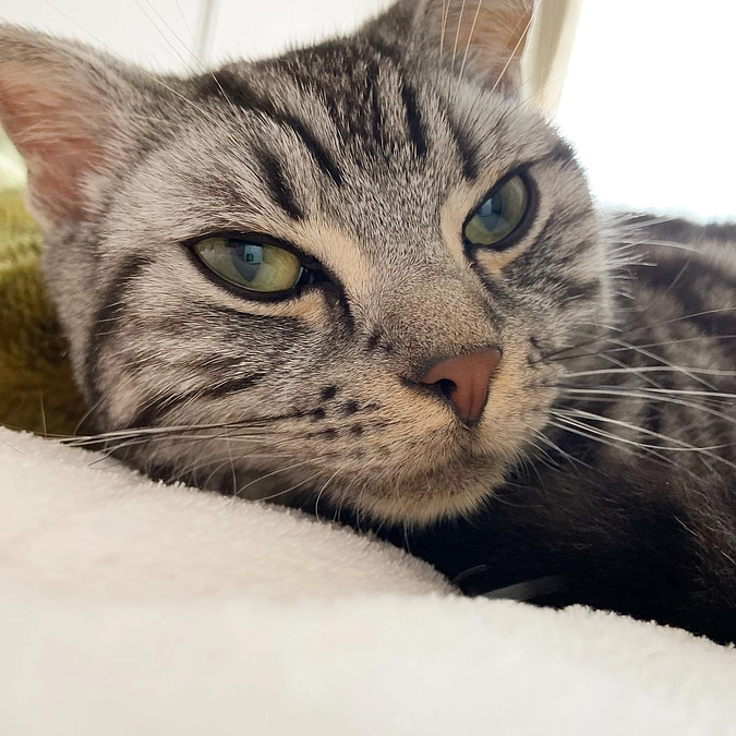 2023.5.16⭐️ #闘病生活 28日目⭐️