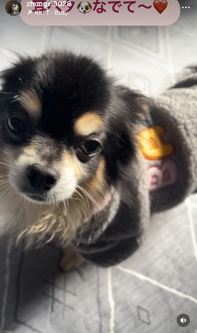 近況報告（インスタの転載）