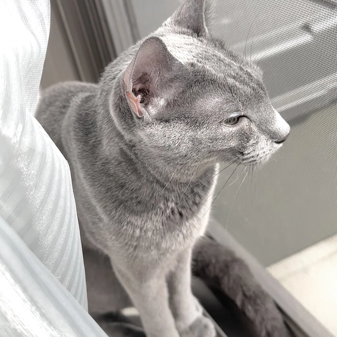 投薬4日目〜5日目