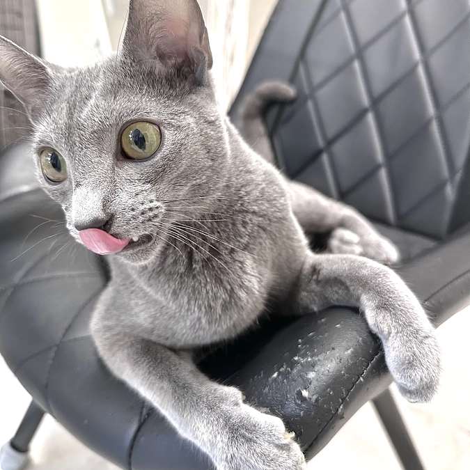 投薬9日目〜11日目