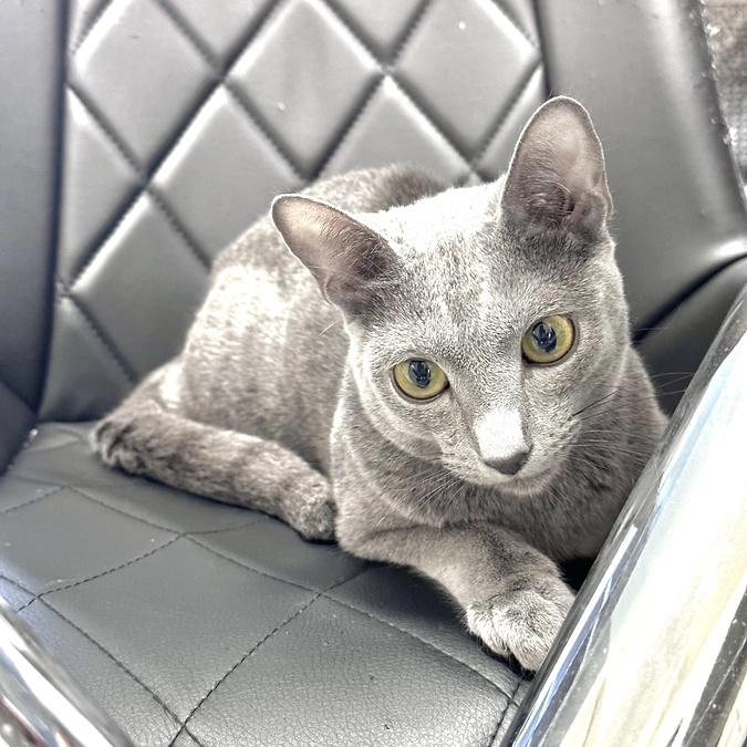 投薬6日目〜8日目