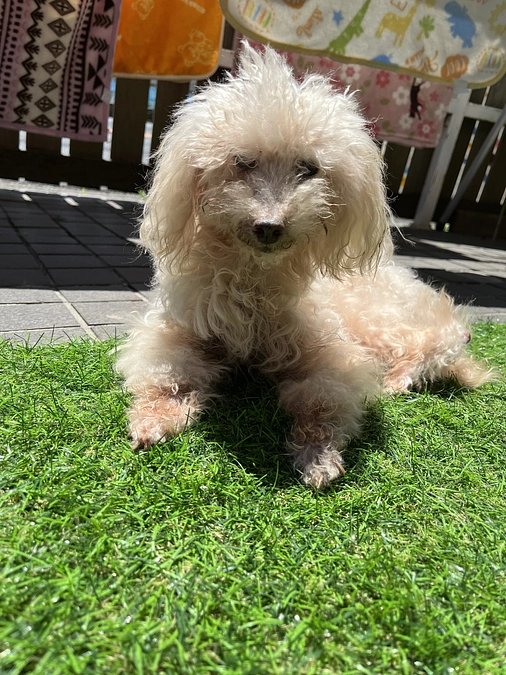 3月・4月収支報告