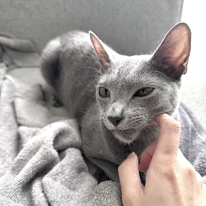 投薬15日目〜17日目