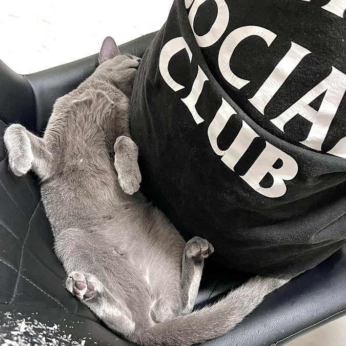 投薬24日目〜26日目