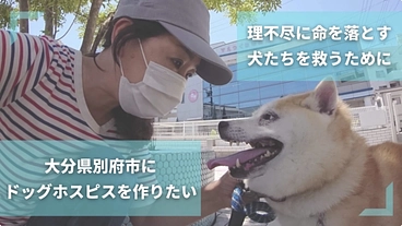 理不尽に命を落とす犬達を救うホスピス型の動物シェルターを作りたい！ のトップ画像