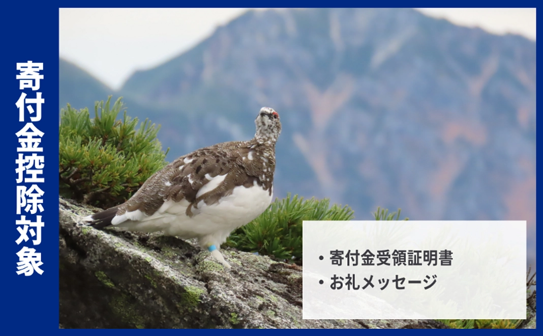 【寄付金控除対象】ライチョウ保全コース｜3,000円