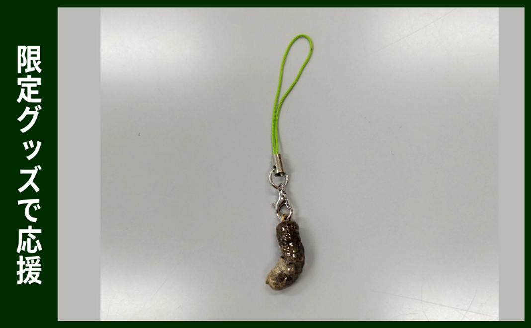 限定グッズで応援｜ライチョウのフンのストラップ