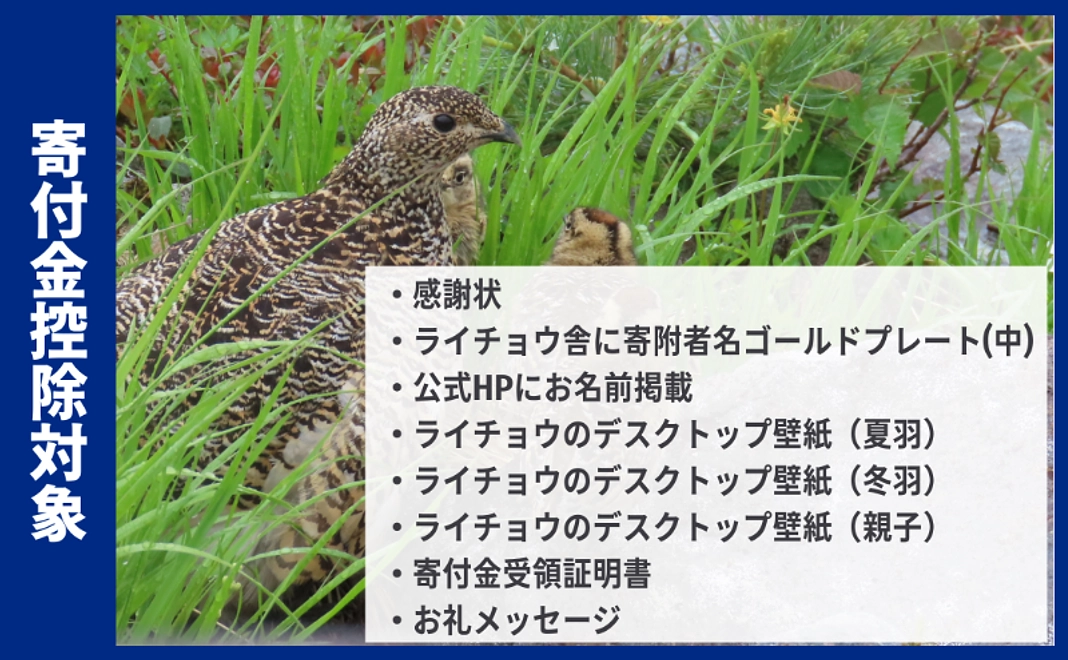 【寄付金控除対象】ライチョウスポンサーコース｜500,000円