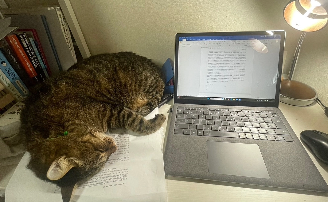 【シンプル応援プラン1万】