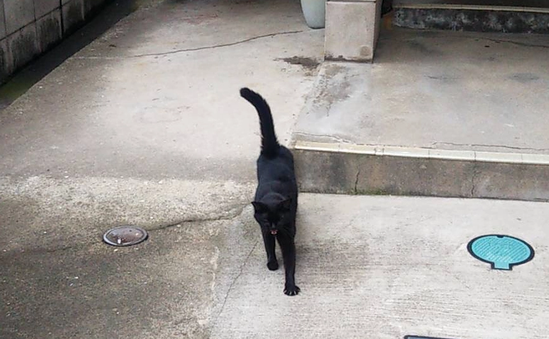 【シンプル応援プラン2万】