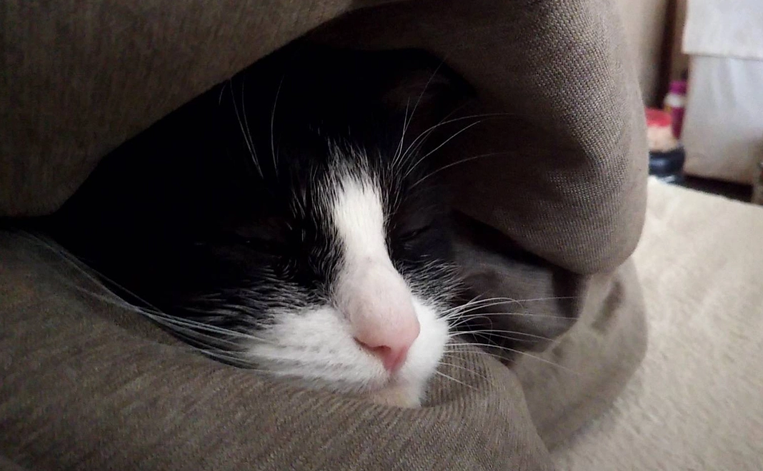 【シンプル応援プラン10万】