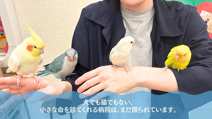 小さな命の医療格差をなくす。小動物病院アプリ「ミニケア」 2枚目
