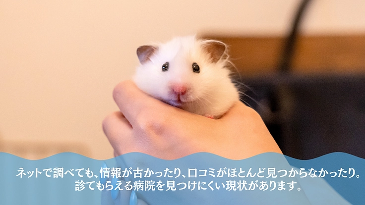 小さな命の医療格差をなくす。小動物病院アプリ「ミニケア」 3枚目