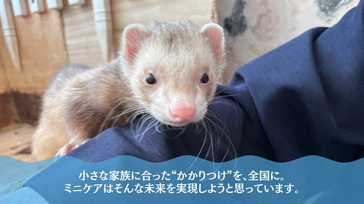 小さな命の医療格差をなくす。小動物病院アプリ「ミニケア」 5枚目
