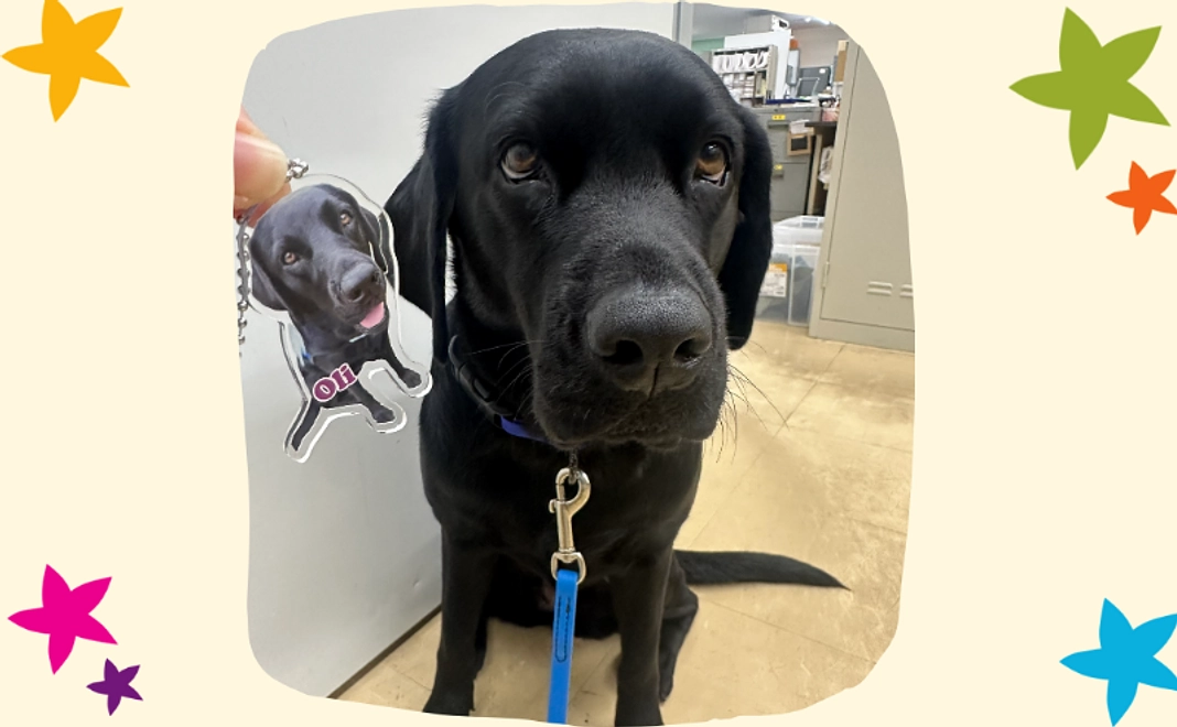 【祝★オリ就任】アクリルキーホルダー【税制優遇対象外】