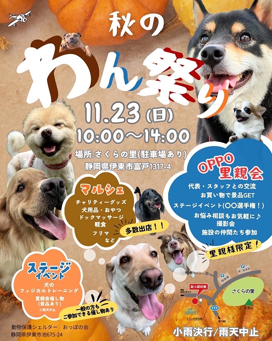 イベントのお知らせ📢