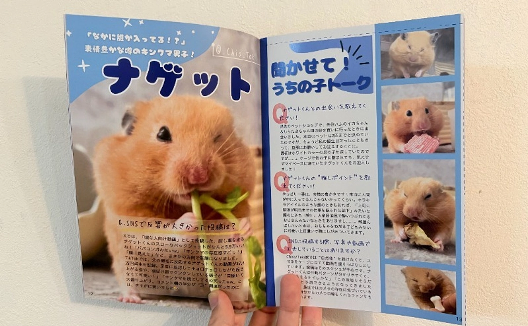 A: 【特別体験】Minimaマガジン「うちの子」掲載