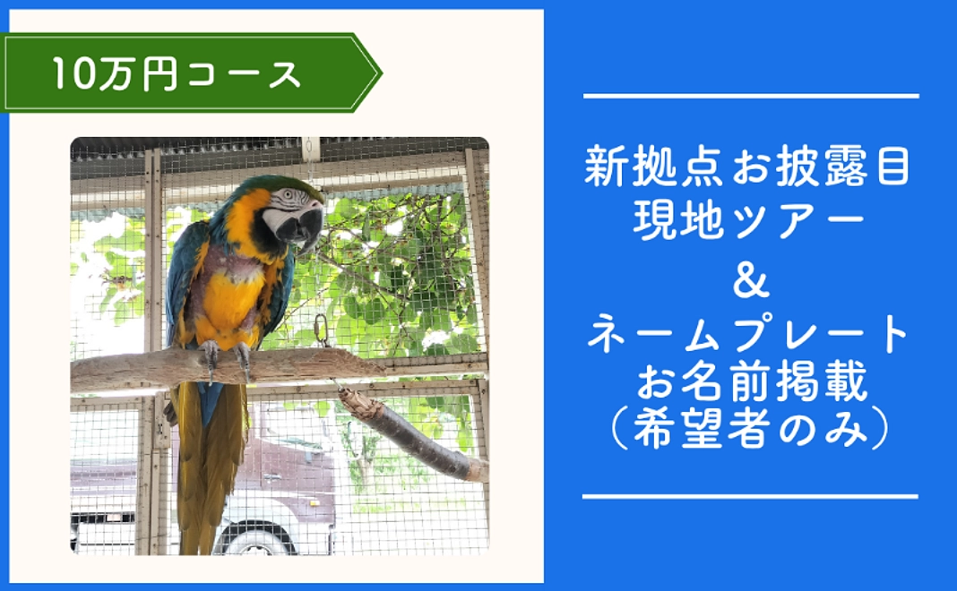 TSUBASA応援コース｜10万円