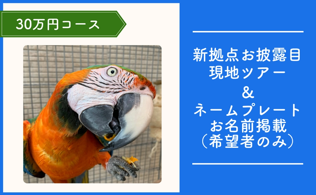 TSUBASA応援コース｜30万円