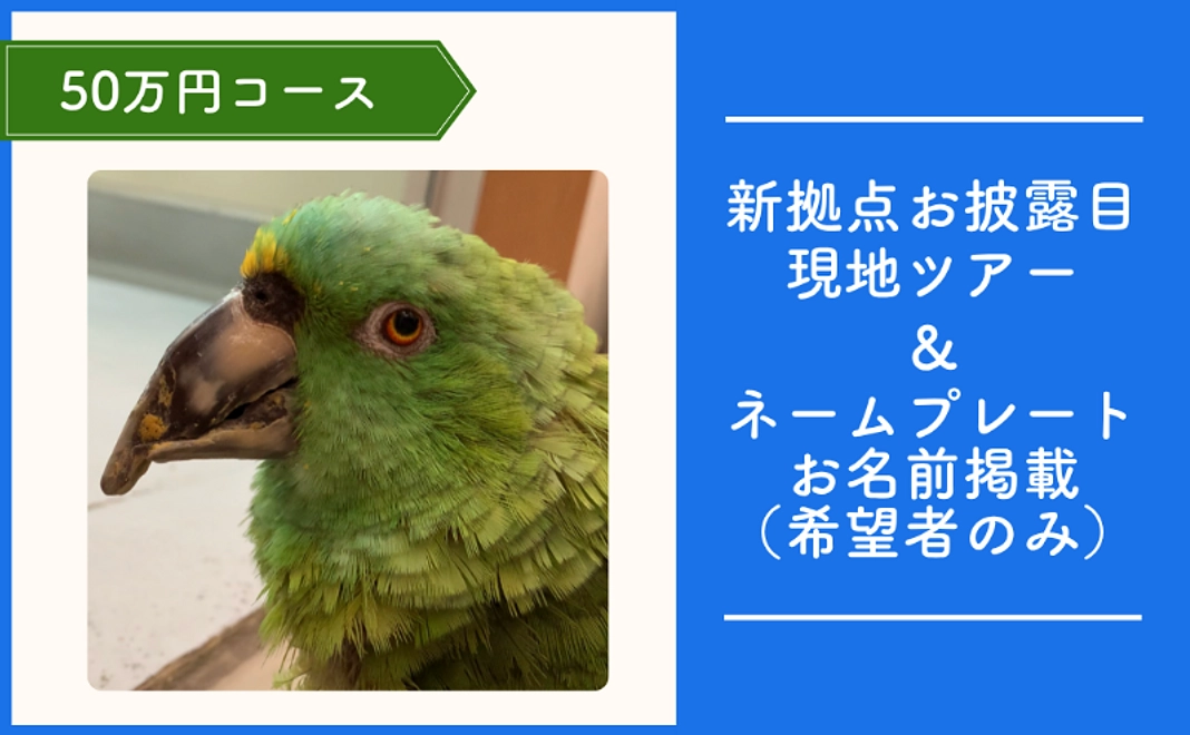 TSUBASA応援コース｜50万円