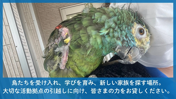 TSUBASA｜次の空へ羽ばたく居場所。新拠点への移転にご支援を！ 5枚目