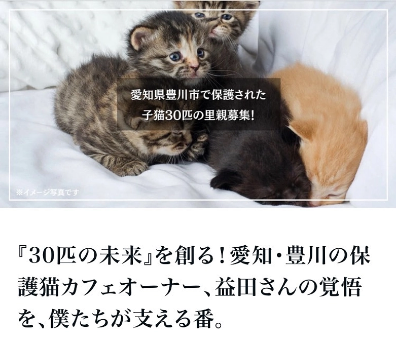 記事を書いて頂きました🙇