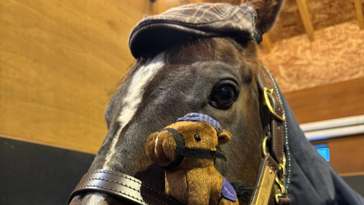 【リターン追加】ちぃぐるみ（アキュート画伯）が再登場！