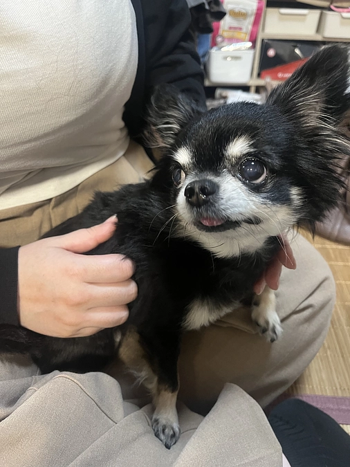 術後2ヶ月検診の活動報告