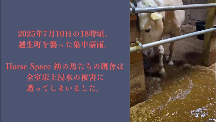 馬たちにこれからもできる限りの安全を。 水害対策を強化したい。 2枚目