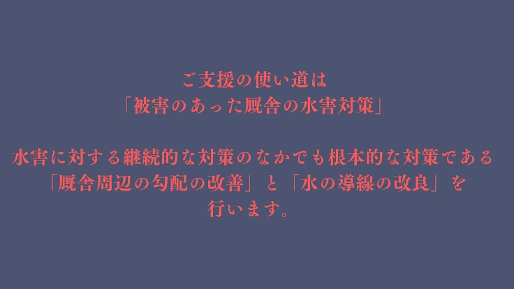 馬たちにこれからもできる限りの安全を。 水害対策を強化したい。 7枚目