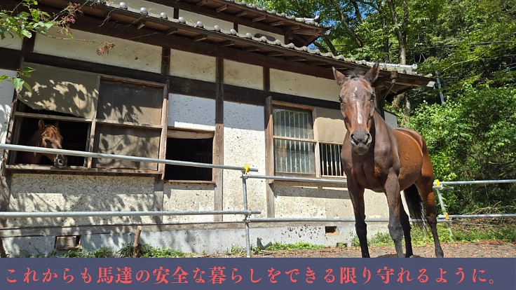 馬たちにこれからもできる限りの安全を。 水害対策を強化したい。 8枚目