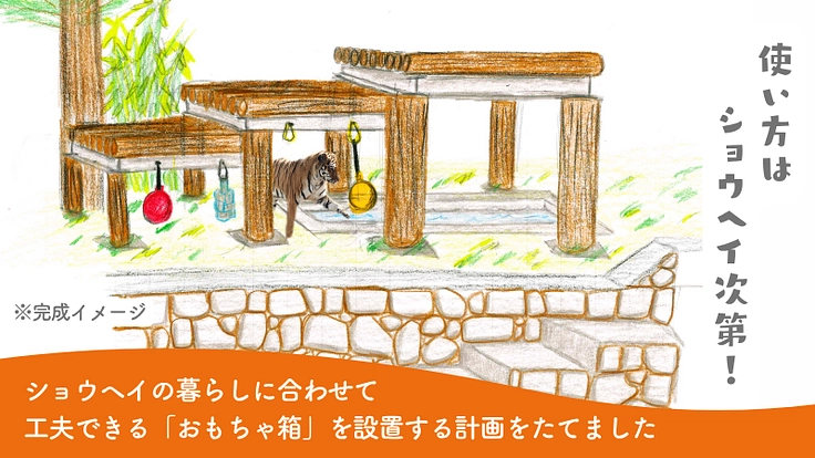 アムールトラ「ショウヘイ」に、みんなでつくるおもちゃ箱をプレゼント 4枚目