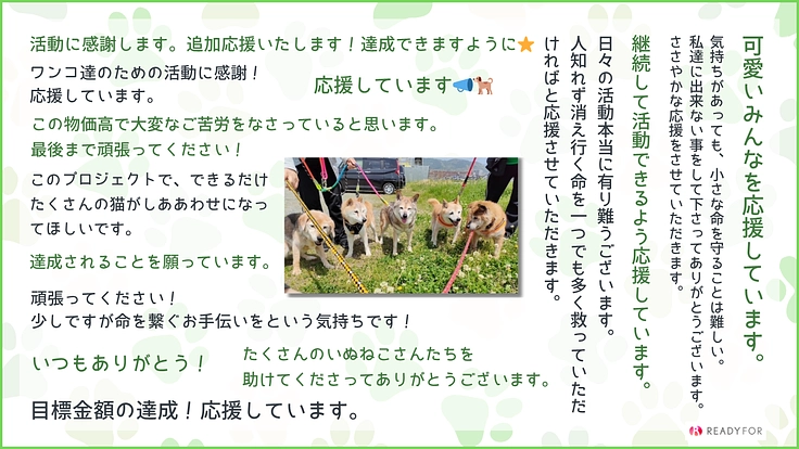 救う命を選ばない。どんな犬猫も保護し続け福岡の里親さんを増やしたい 10枚目