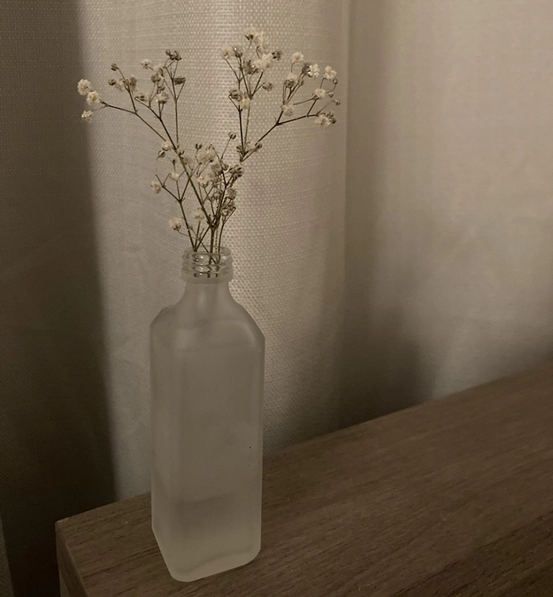 【コラム:ハルのことだま】第11回 無知の知