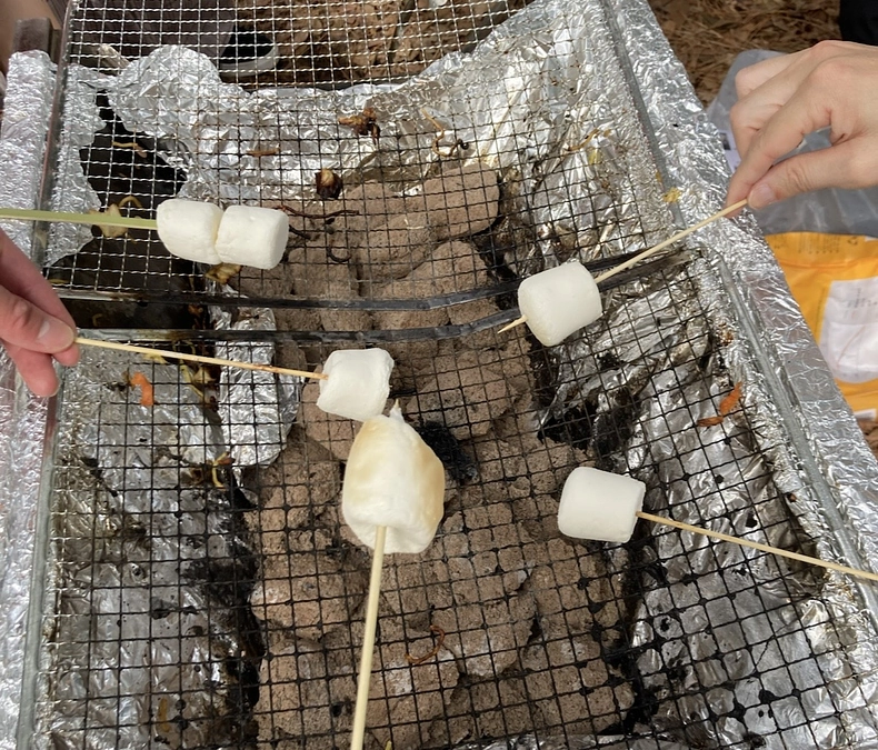 【コラム:ハルのことだま】最終回 網を編む