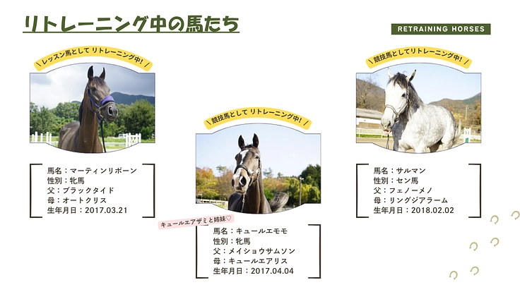 引退競走馬の個性が輝き続けるために｜大山と馬、50年の歩みを未来へ 2枚目