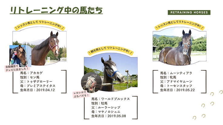引退競走馬の個性が輝き続けるために｜大山と馬、50年の歩みを未来へ 3枚目
