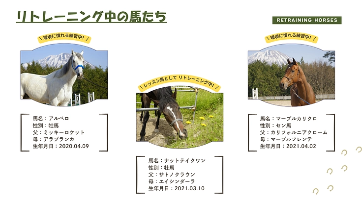 引退競走馬の個性が輝き続けるために｜大山と馬、50年の歩みを未来へ 4枚目