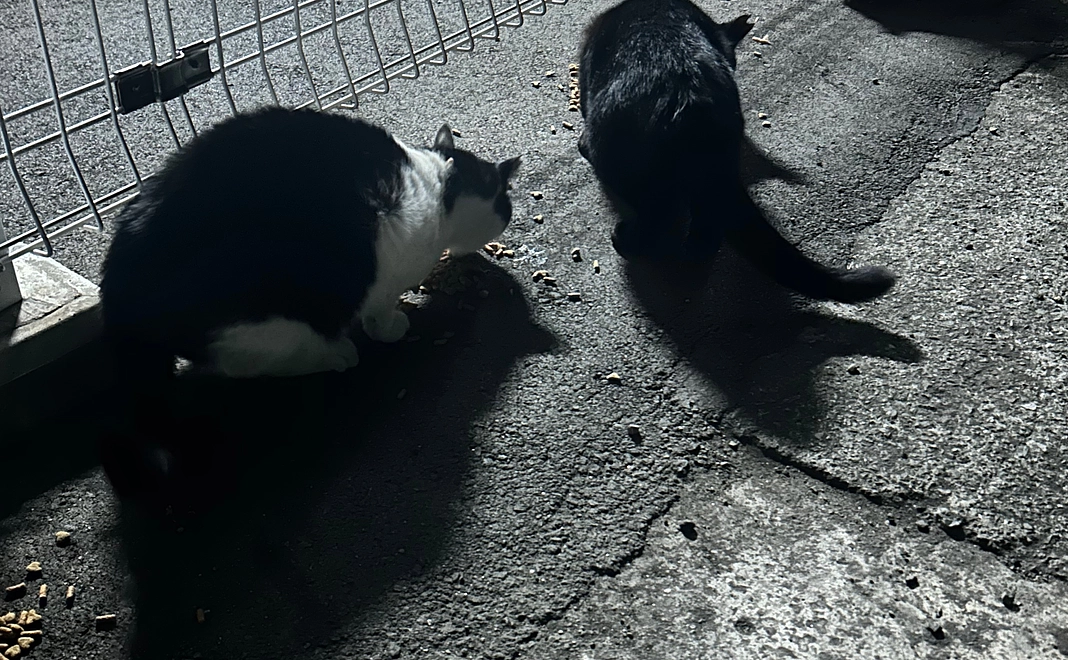 お礼のメッセージ①