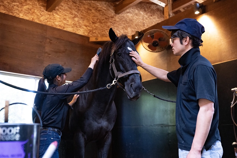 【イチオシのリターン】「1日お世話体験」ではこんな体験ができます！